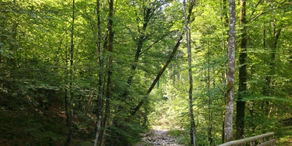 Ausflug mit Kindern - Schatten: überwiegend schattig - Kleinberg (Nußdorf am Haunsberg) - Wanderung zur Wolfschwangalm