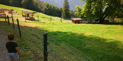 Ausflug mit Kindern - Umgebungsschwerpunkt: Wald - Bergen (Landkreis Traunstein) - Wildtiergehege - Wanderung zur Wolfschwangalm