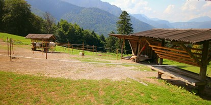 Ausflug mit Kindern - geprüfte Top Tour - Anger (Berchtesgadener Land) - Wanderung zur Wolfschwangalm