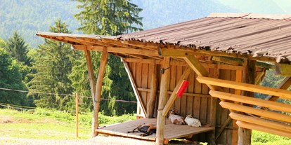 Ausflug mit Kindern - geprüfte Top Tour - Schneizlreuth - Wanderung zur Wolfschwangalm
