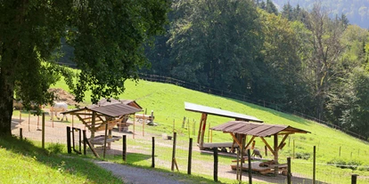 Ausflug mit Kindern - Umgebungsschwerpunkt: Berg - Kleinberg (Nußdorf am Haunsberg) - Wanderung zur Wolfschwangalm