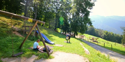 Ausflug mit Kindern - Gastronomie: Familien-Alm - Kleinberg (Nußdorf am Haunsberg) - Wanderung zur Wolfschwangalm