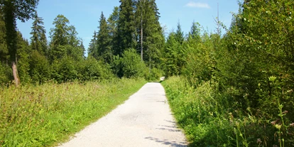 Ausflug mit Kindern - Umgebungsschwerpunkt: Wald - Kleinberg (Nußdorf am Haunsberg) - Nur vereinzelt geht man in der Sonne, der Weg ist äußerst schattig - Wanderung zur Wolfschwangalm