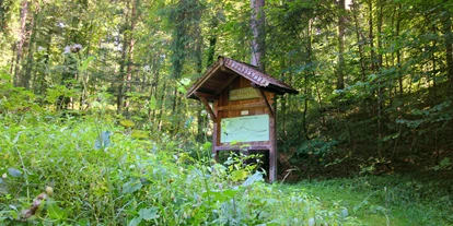 Ausflug mit Kindern - Themenschwerpunkt: Kunst - Kleinberg (Nußdorf am Haunsberg) - An mehreren Stellen findet man Quiz-Tafeln des Untersberg Waldquizweg - Wanderung zur Wolfschwangalm