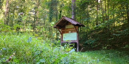 Ausflug mit Kindern - Schatten: überwiegend schattig - Elixhausen - An mehreren Stellen findet man Quiz-Tafeln des Untersberg Waldquizweg - Wanderung zur Wolfschwangalm