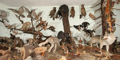 Ausflug mit Kindern - Alter der Kinder: über 10 Jahre - Bayerischer Wald - Wald- und Tiermuseum mit Uhrenmuseum