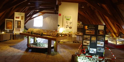 Ausflug mit Kindern - Oberelsbach - Steinzeit zum Anfassen - Heimatmuseum des Marktes Maßbach