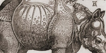 Ausflug mit Kindern - PLZ 90409 (Deutschland) - Symbolbild für Ausflugsziel Albrecht Dürer Gesellschaft e.V. Kunstverein Nürnberg (Bayern). - Albrecht Dürer Gesellschaft e.V. Kunstverein Nürnberg