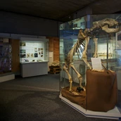 Destination - Naturhistorisches Museum