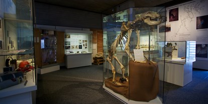 Ausflug mit Kindern - Witterung: Kälte - PLZ 91126 (Deutschland) - Naturhistorisches Museum