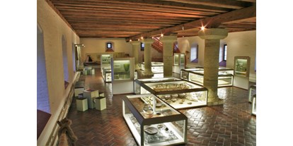 Ausflug mit Kindern - Ostbayern - Blick in die Dauerausstellung des Archäologischen Museums der Stadt Kelheim  - Archäologisches Museum der Stadt Kelheim