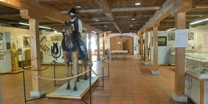 Ausflug mit Kindern - Bayrischzell - Der Hauptausstellungsraum - Inn-Museum