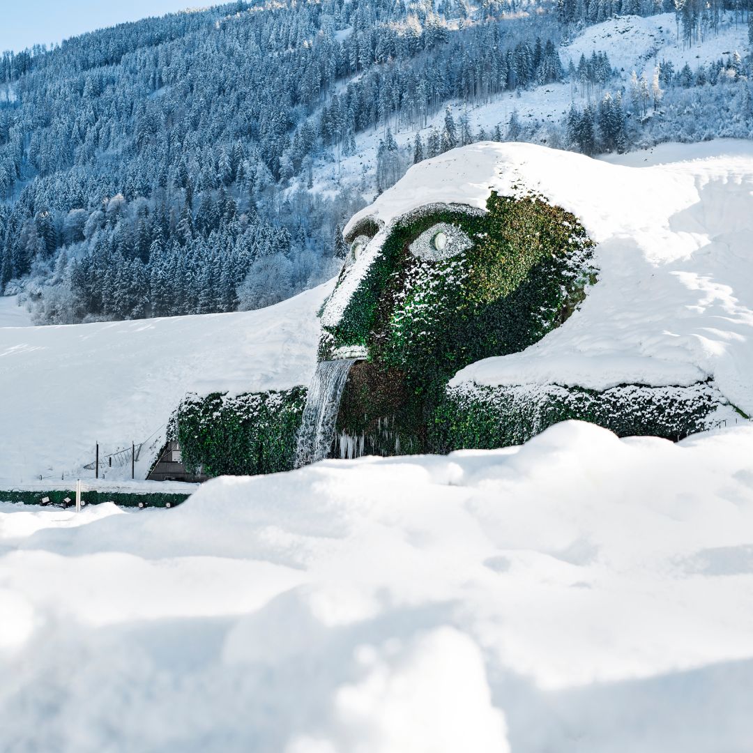 Destinazione dell'escursione - Winter Wonderland in den Swarovski Kristallwelten