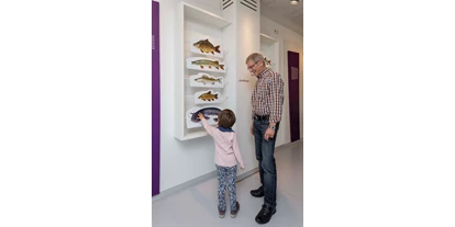 Ausflug mit Kindern - Alter der Kinder: 1 bis 2 Jahre - Franken - Museum FLUVIUS - Fluss und Teich in Wassertrüdingen - Fluvius - Museum Fluss und Teich