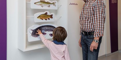 Ausflug mit Kindern - Witterung: Schönwetter - PLZ 73495 (Deutschland) - Fluvius - Museum Fluss und Teich