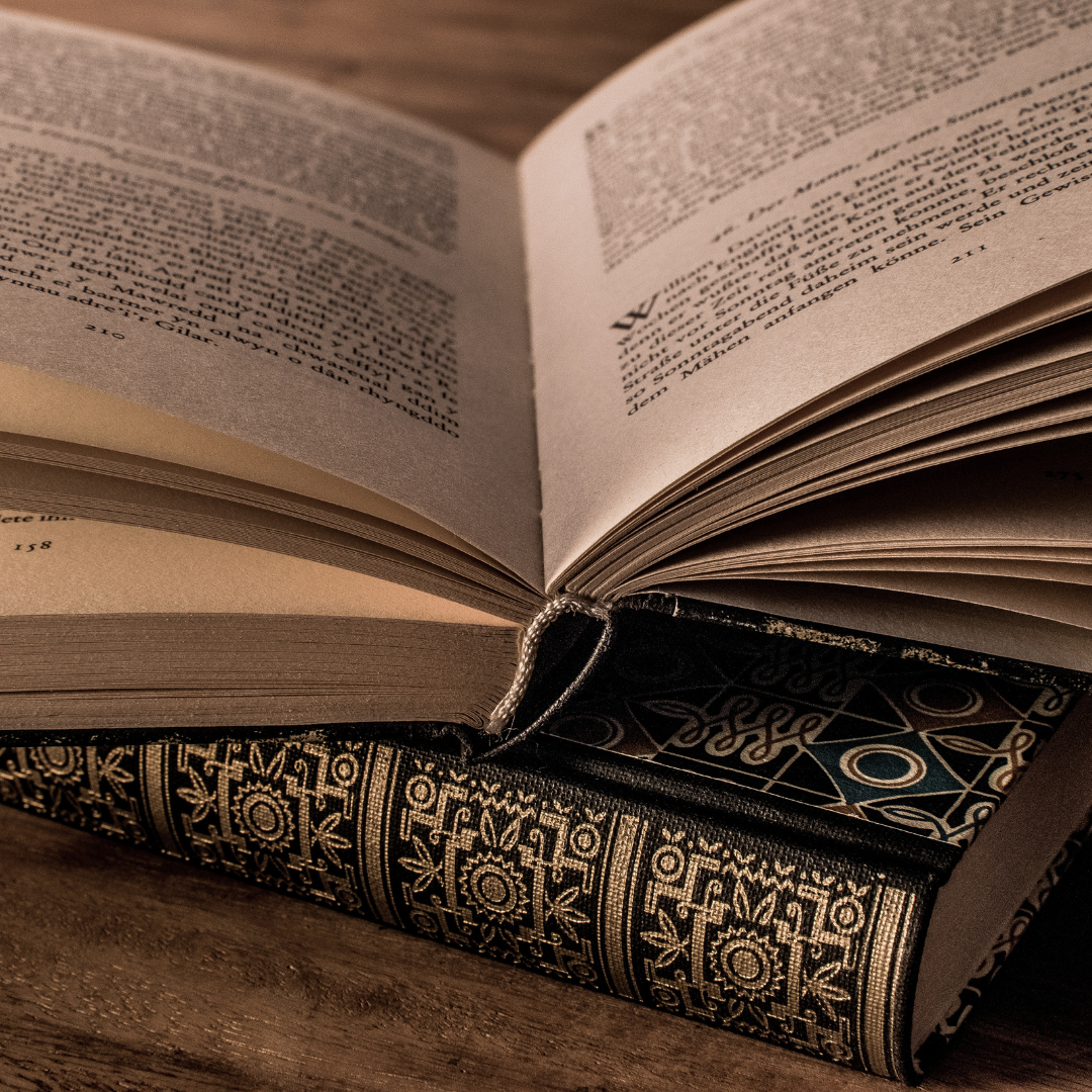 Destinazione dell'escursione - Symbolbild für Ausflugsziel Städtisches Spixmuseum. Keine korrekte oder ähnlich Darstellung! - Städtisches Spixmuseum