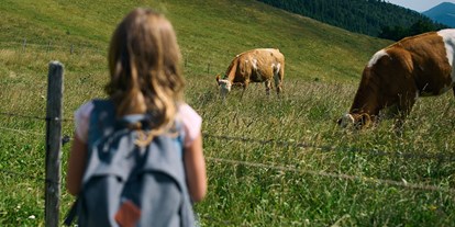 Ausflug mit Kindern - Alter der Kinder: über 10 Jahre - Muggendorf (Muggendorf) - Die Natur erkunden am Schneeberg - Schneeberg Sesselbahn