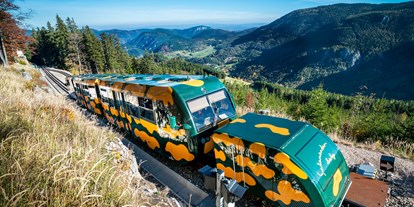 Ausflug mit Kindern - Felixdorf - Der Salamander-Zug der Schneebergbahn - Schneebergbahn
