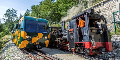 Ausflug mit Kindern - PLZ 2751 (Österreich) - Dampfzug und Salamander-Zug - Schneebergbahn