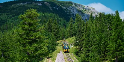 Ausflug mit Kindern - Ausflugsziel ist: eine Wanderung - Blick zum Elisabeth Kircherl - Schneebergbahn