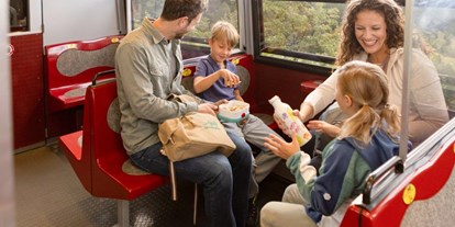 Ausflug mit Kindern - Witterung: Bewölkt - PLZ 2564 (Österreich) - Schneebergbahn