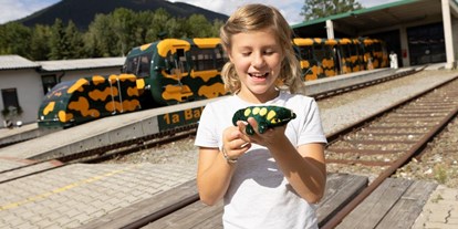 Ausflug mit Kindern - Themenschwerpunkt: Entdecken - Oberhöflein (Höflein an der Hohen Wand) - Schneebergbahn