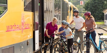 Ausflug mit Kindern - Ausflugsziel ist: eine Bahn - Niederösterreich - Wachaubahn