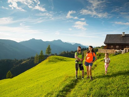 Ausflug mit Kindern - Themen in der Region: Nationalpark - Österreich - Wanderurlaub im Großarltal - Großarltal - Tal der Almen