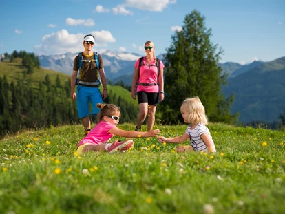 Trip with children - Flachau - Wanderurlaub im Großarltal - Großarltal - Tal der Almen