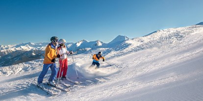 Ausflug mit Kindern - Landschaft: Almen - Pongau - Skifahren im Großarltal - Großarltal - Tal der Almen