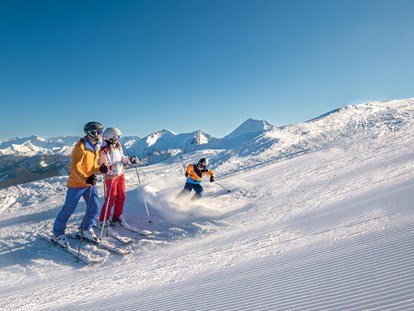 Ausflug mit Kindern - Themen in der Region: Nationalpark - Österreich - Skifahren im Großarltal - Großarltal - Tal der Almen