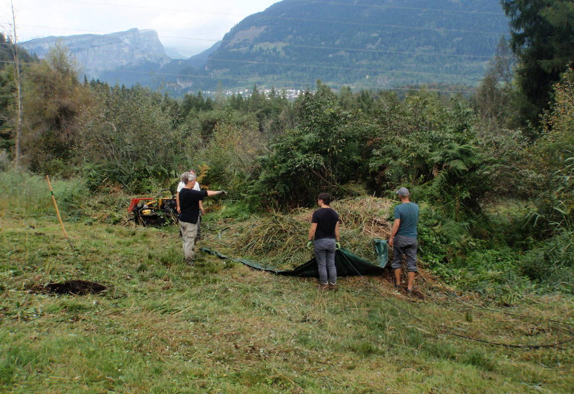 Ausflugsziel - Natureinsatz: Moorpflege im Schutzgebiet Weihermühle