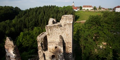 Ausflug mit Kindern - sehenswerter Ort: Burg - Mühlviertel - Burgruine Windhaag