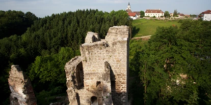 Trip with children - sehenswerter Ort: Ruine - Austria - Burgruine Windhaag