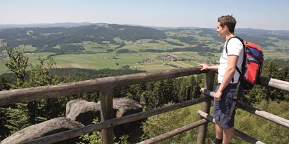 Ausflug mit Kindern - Ausflugsziel ist: eine Wanderung - Mühlberg (Waldkirchen am Wesen) - Hochbuchet