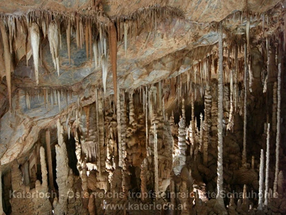 Ausflug mit Kindern - Ausflugsziel ist: eine Sehenswürdigkeit - Österreich - Tropfsteinhöhle Katerloch