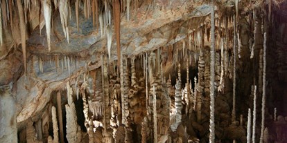Ausflug mit Kindern - Ausflugsziel ist: ein sehenswerter Ort - PLZ 8054 (Österreich) - Tropfsteinhöhle Katerloch