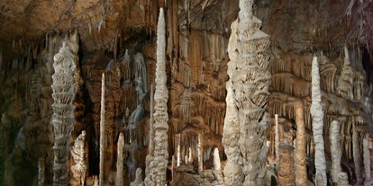 Ausflug mit Kindern - Umgebungsschwerpunkt: Wald - Vorau (Vorau) - Tropfsteinhöhle Katerloch