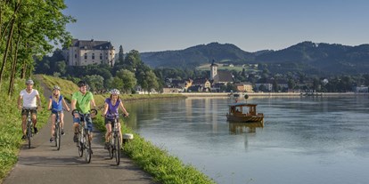 Ausflug mit Kindern - Landschaft: Flüsse - Oberösterreich - Donauradweg bei Grein - Donauregion in Oberösterreich