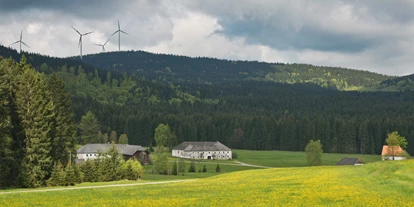 Ausflug mit Kindern - Mühlviertel - Landschaft Dürnau
Blick Richtung Windpark Vorderweißenbach - Mühlviertler Hochland