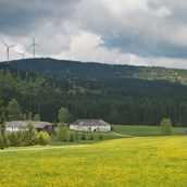 Ausflugsziel - Landschaft Dürnau
Blick Richtung Windpark Vorderweißenbach - Mühlviertler Hochland