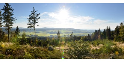 Ausflug mit Kindern - Landschaft: Moore - Oberösterreich - Blick vom Sternstein - Mühlviertler Hochland