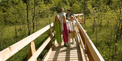 Ausflug mit Kindern - Landschaft: Hügel - Oberösterreich - Moorwaldweg Aussichtskanzel/Steg über dem Moor - Mühlviertler Hochland
