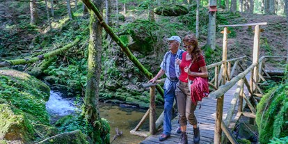 Ausflug mit Kindern - Landschaft: Wälder - Oberösterreich - Wandern - Mühlviertler Hochland