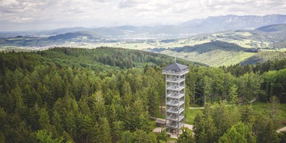 Ausflug mit Kindern - Landschaft: Moore - Oberösterreich - Vom Attergauer Aussichtsturm am Lichtenberg bietet sich ein beeindruckender Panormablick. - Attersee-Attergau