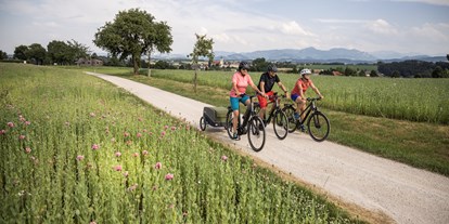 Ausflug mit Kindern - gut erreichbar mit: Fahrrad - Oberösterreich - Für leidenschaftliche Radler gibt es viele gekennzeichnete Touren mit unterschiedlichen Längen und Schwierigkeitsgraden.  - Bad Hall
