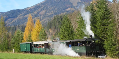 Trip with children - Ausflugsziel ist: eine Bahn - Austria - Museumstramway Mariazell - Erlaufsee und Erlaufsseeschifffahrt