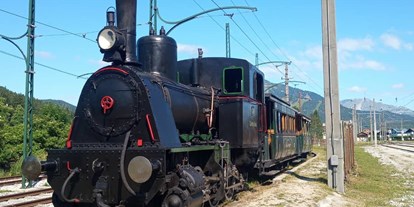 Ausflug mit Kindern - Ausflugsziel ist: eine Bahn - Gstettengegend - Museumstramway Mariazell - Erlaufsee und Erlaufsseeschifffahrt