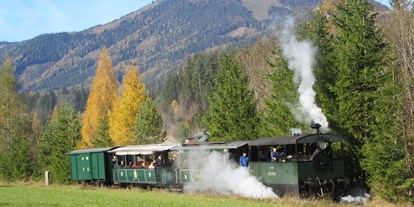 Ausflug mit Kindern - Kinderwagen: großteils geeignet - Lackenhof - Museumstramway Mariazell - Erlaufsee und Erlaufsseeschifffahrt