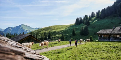 Trip with children - Vorarlberg - Großes Walsertal - Alpenregion Vorarlberg